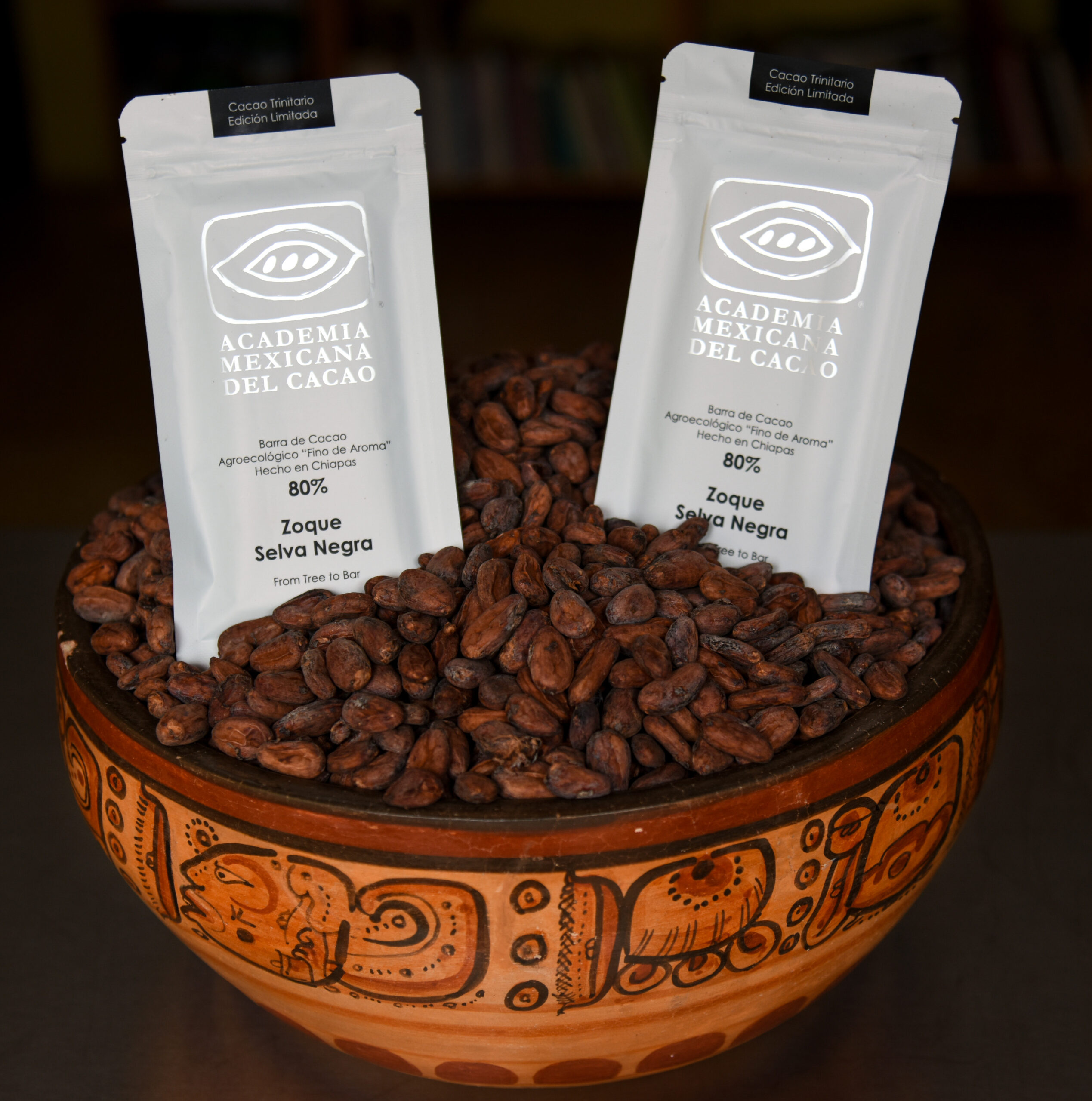 Academia Mexicana del Cacao