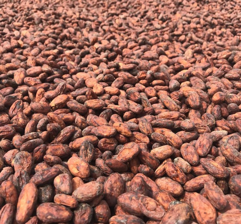 Adiu-Chocolates-6