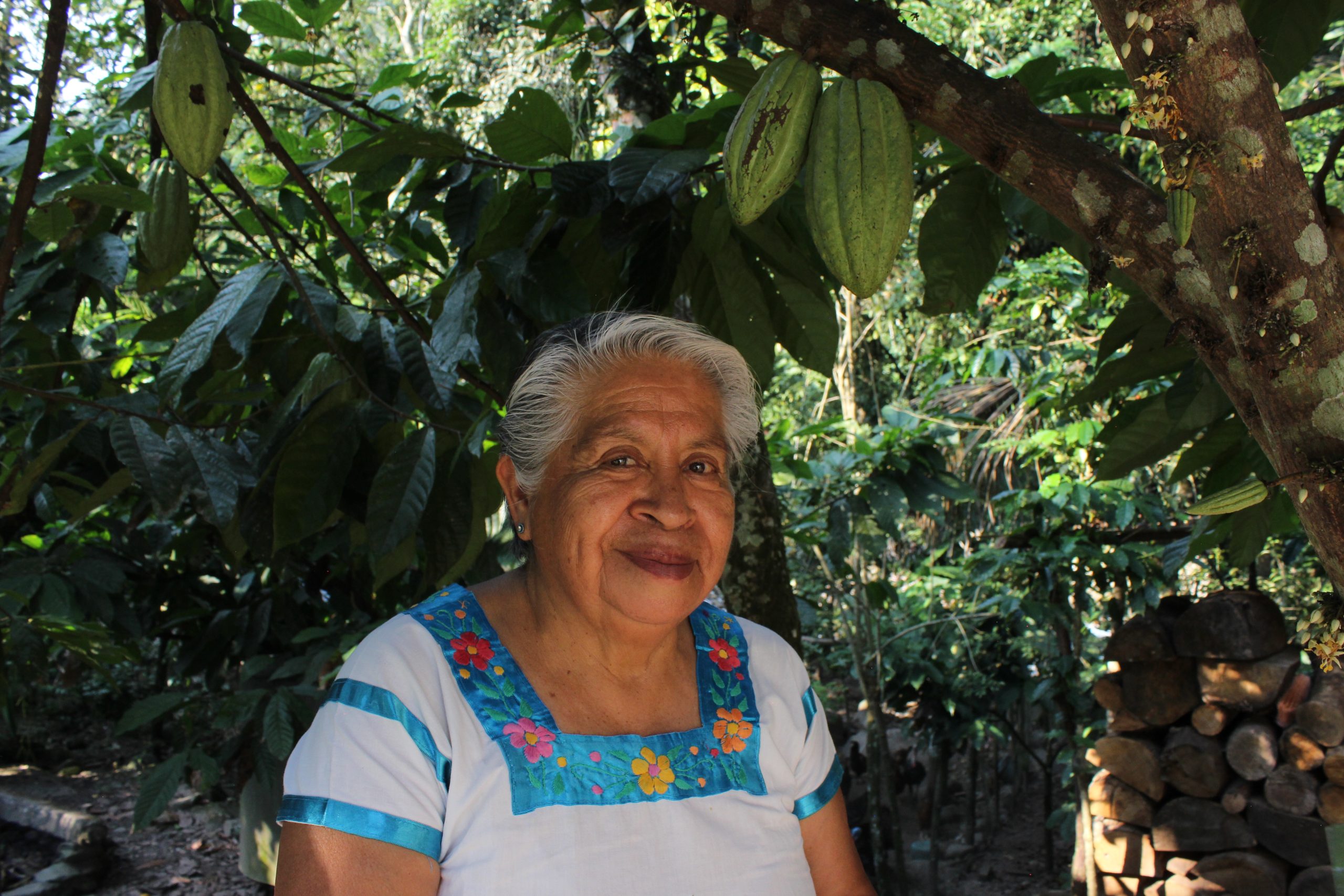 Tostador-Oaxaca-4